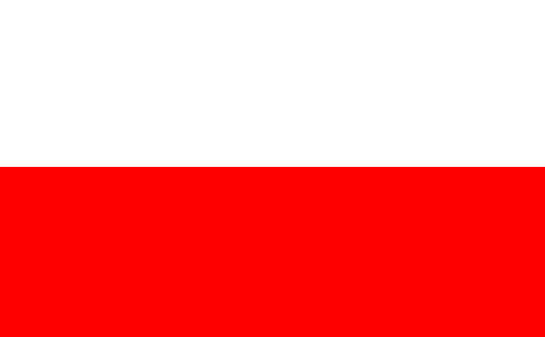 Informacje w jezyku polskim